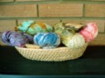 Araucania Special Offers
