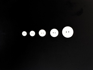 Surina Shell Buttons