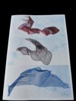 Manos del Uruguay Lace Shawl Patterns