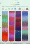 Rowan Colourscape Chunky Shade Card