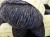 Rowan Hemp Tweed Chunky #10, Deep
