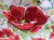 Hobby Gift Classic Craft Bag - Poppies