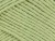 Shade: #463 - Pear