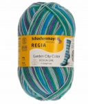 Dee Hardwicke 4 Ply Wool Garden City Sock Yarn - Clematis