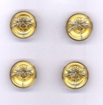 Dragonfly Buttons - Gold - Small Size